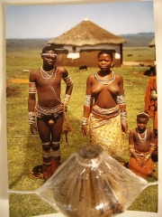 �t���[��