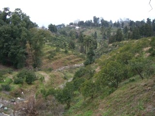 �t���[��