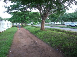 �t���[��