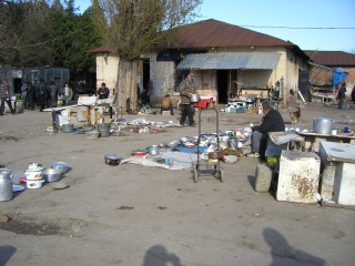 �T���S���̃o�U�[��