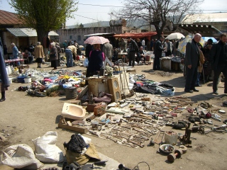 �T���S���E�o�U�[�� in �g�r���V