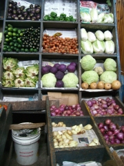 �t���[��