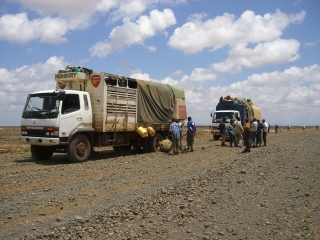 �t���[��