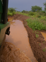 �t���[��