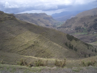 �t���[��