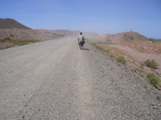 �t���[��