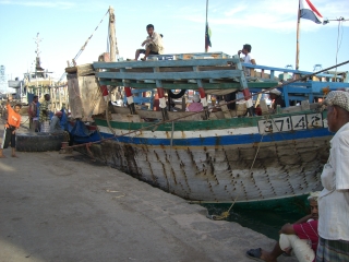 �t���[��