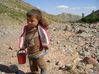 �{�C�X���̎q��