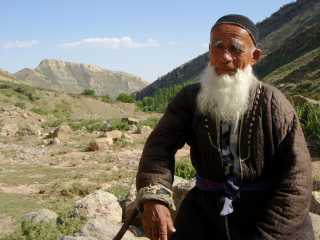 �V�l in �{�C�X��