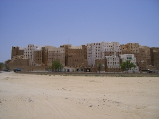 �����̖��V�O�V�o�[��