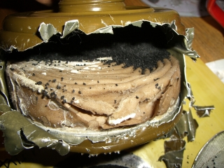 �K�X�}�X�N�𕪉����Ă݂�