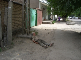 �A�����e�� in �r�V���P�N