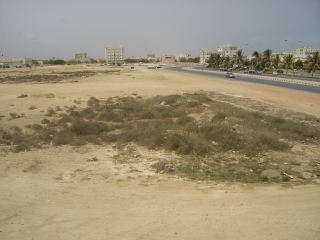 �I�}�[���E�T���[��