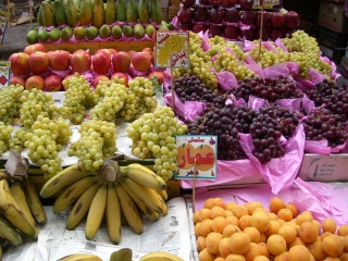 �I�X�̃t���[�c������