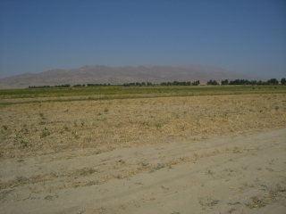 �E�Y�x�L�X�^���ƃ^�W�L�X�^���Ƃ̍����t��