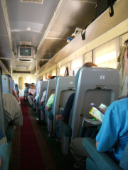 ���}�V�����N�̍���