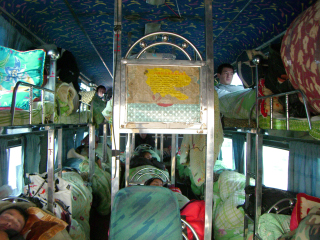 �I�V���̃J�V���K���Ԃ𑖂�Q��o�X