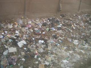 �J�C���̐��H����