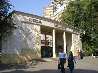 �J�C���E�M�U������