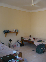 �_�n�u�̏h�E�A���X�J�L�����v