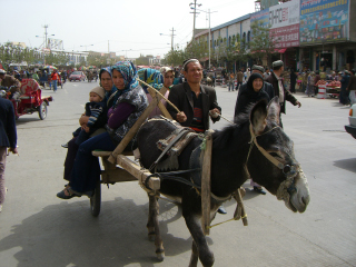 ���o�E�^�N�V�[ in �z�[�^��