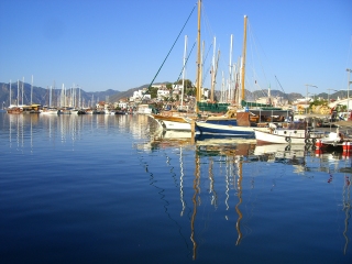 �}���}���X����G�[�Q�C��]��