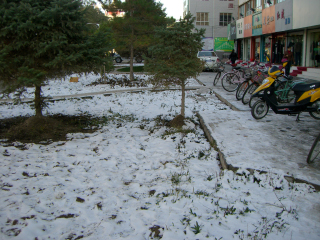 �Ⴊ�~�����悤�� in ���