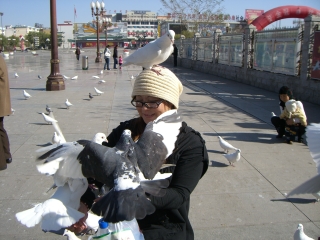 �|�������}�}