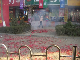 �V���J�X�j���ɔ��|��炷 in ����