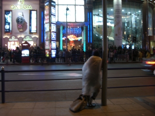 �W���Y�o���h�̖�O���t�ɒ��������H in ��C