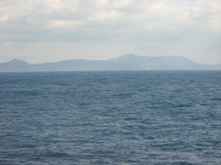 ���{�������Ă���