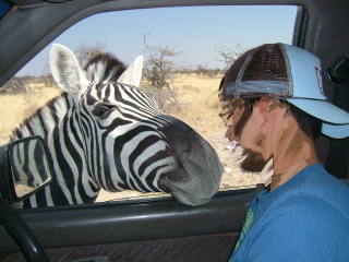 �t���[��