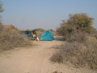 �t���[��