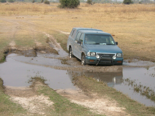 �{�c���i�A�I�J�o���S�E�f���^