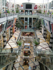 �t���[��