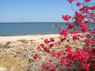 �t���[��