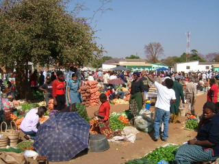 �t���[��