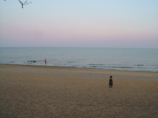 �t���[��