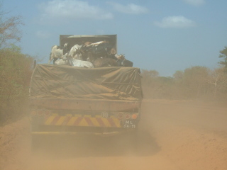 �t���[��