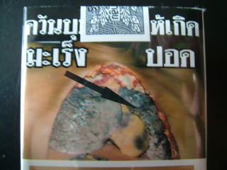 �t���[��