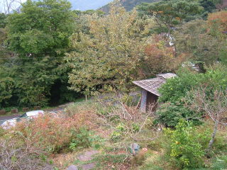 �t���[��