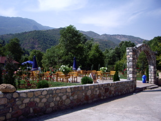 �A���o�j�A�̃}�P�h�j�A�����t��