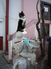 �t���[��