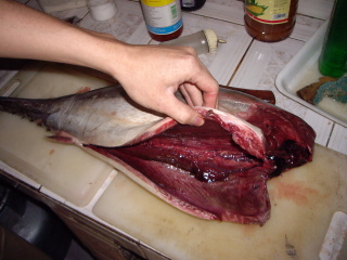 �����O�����낵