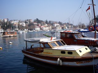 �t���[��