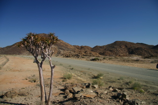 �t���[��