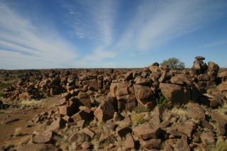 �t���[��