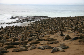 �t���[��