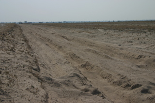 �t���[��