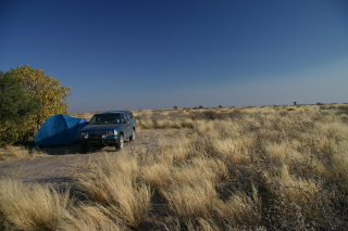 �t���[��